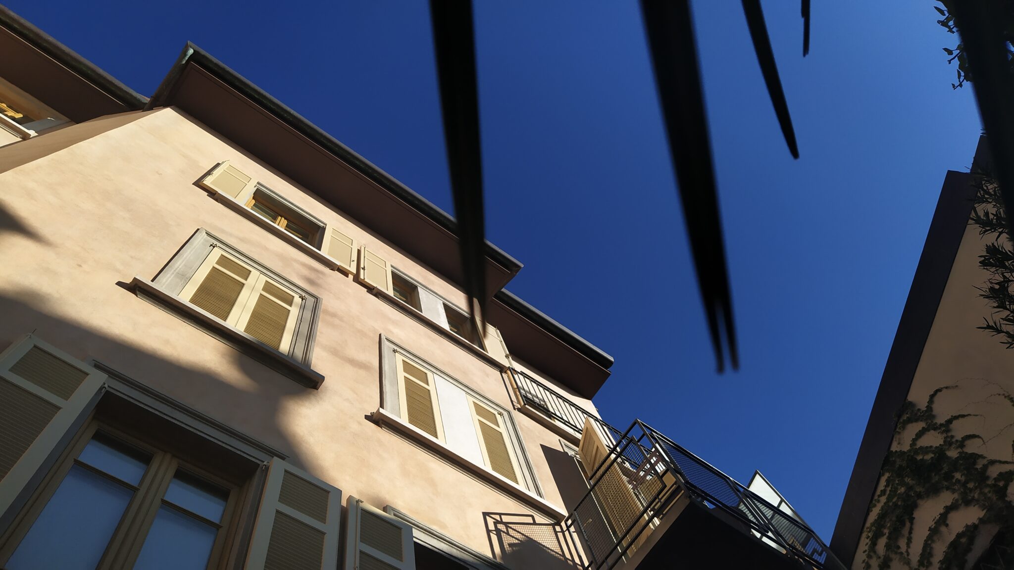 Courtyard – View